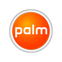 palm